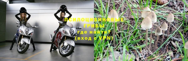 apvp Заволжск