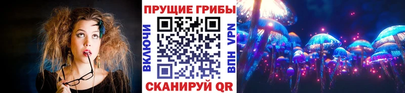 Псилоцибиновые грибы Psilocybine cubensis  Красноярск 